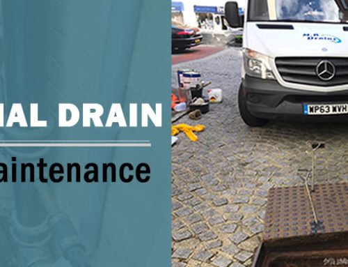 Hire Professional for Quality Drainage Services and Maintenance
