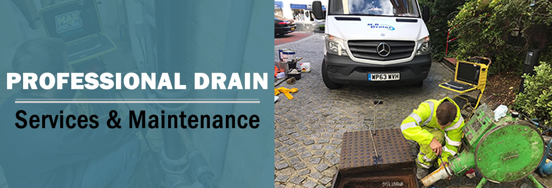 Hire Professional Drainage Services and Maintenance