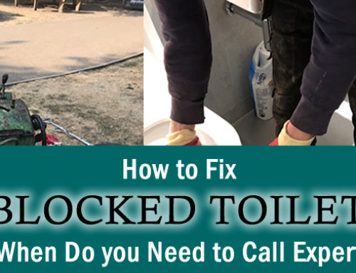 How to Fix a Blocked Toilet and When Do you Need to Call an Expert