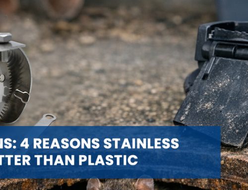 Stop Rats in Drains: 4 Reasons Stainless Steel Flaps are Better Than Plastic