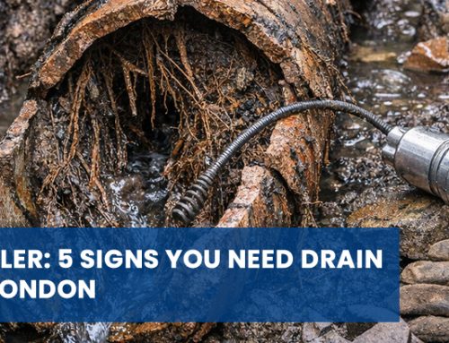 The Silent Pipe-Killer: 5 Signs You Need Drain Root Removal in London