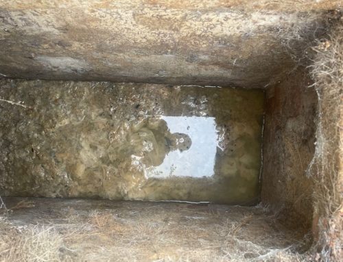Blocked Interceptor Trap in Farnham – Case Study