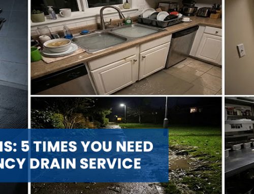 The Midnight Crisis: 5 Times You Need a 24 Hour Emergency Drain Service